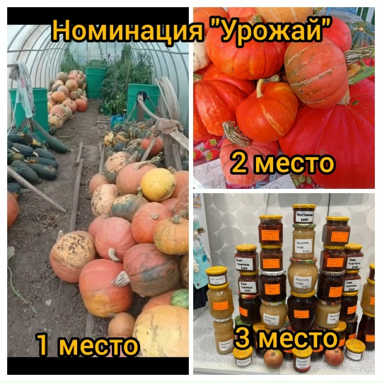 А вот и урожай!